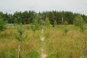 Продаю землю сельхозназначения в Калужской области Город Мосальск prodaz2.jpg